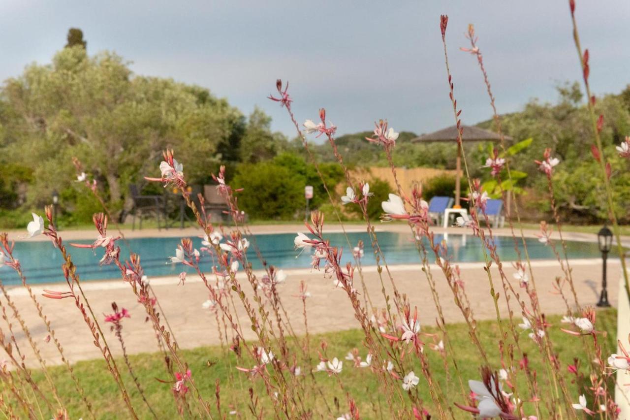 Villa Adonis Halikounas エクステリア 写真